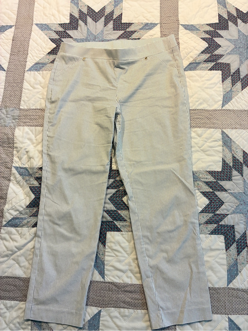 Anne KleWomen’s Cream & Navy Slim Ankle Pants
